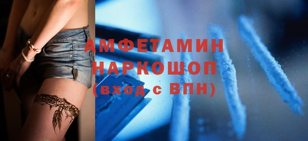 mdpv Бородино
