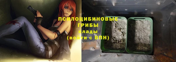 гашик Бугульма