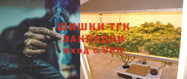 mdpv Бородино