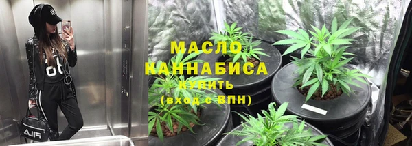 mdpv Бородино