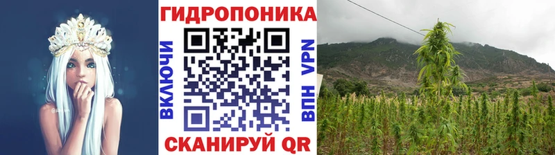 Бошки марихуана семена  хочу   Семёнов 